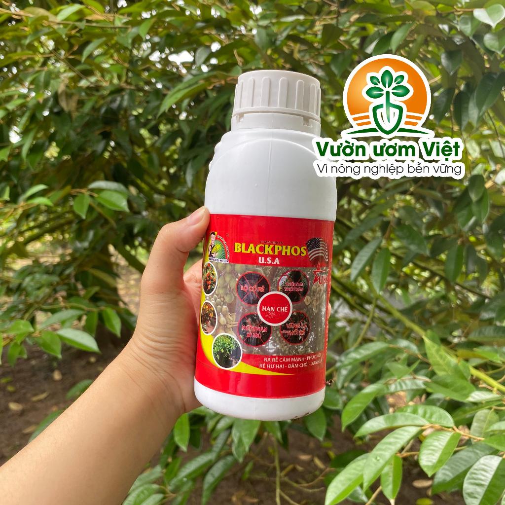 Blackphos - lân hai chiều chuyên trị nứt thân, xì mủ, thối rễ, vàng lá, dưỡng rễ mạnh - 500ml