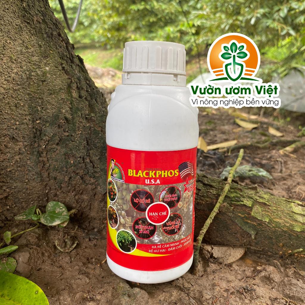 Blackphos - lân hai chiều chuyên trị nứt thân, xì mủ, thối rễ, vàng lá, dưỡng rễ mạnh - 500ml