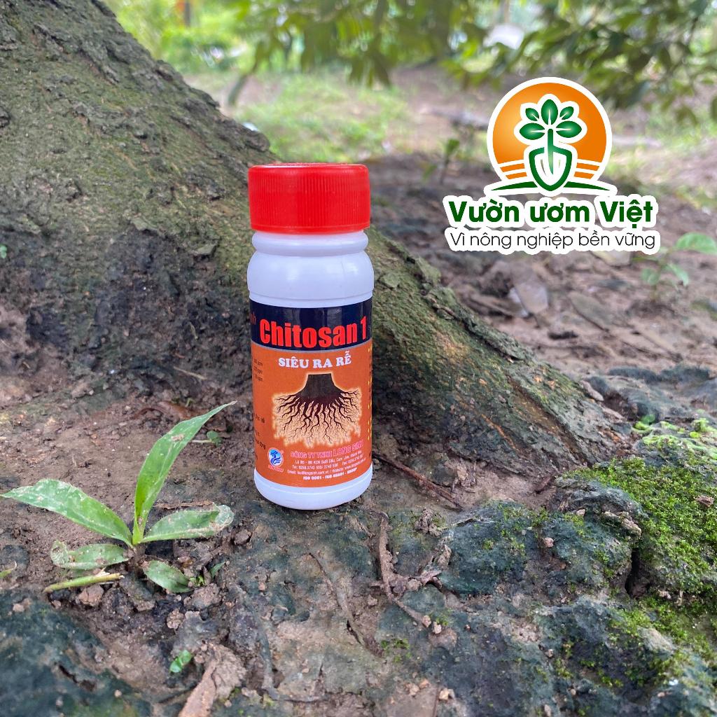 Phân bón Chitosan 1 cung cấp đầy đủ dưỡng chất thiết yếu cho cây sinh trưởng tốt, phát triển tốt đa