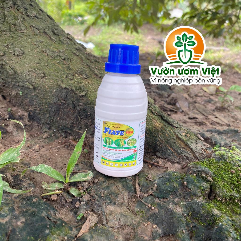 Thuốc trừ bệnh cây trồng Fiate 600SE chuyên trị rỉ sắt, thán thư, cháy bìa lá, đạo ôn - 100ml