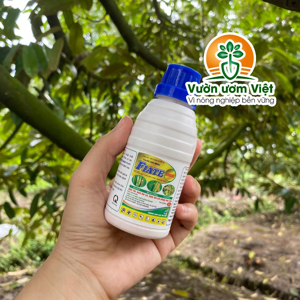 Thuốc trừ bệnh cây trồng Fiate 600SE chuyên trị rỉ sắt, thán thư, cháy bìa lá, đạo ôn - 100ml