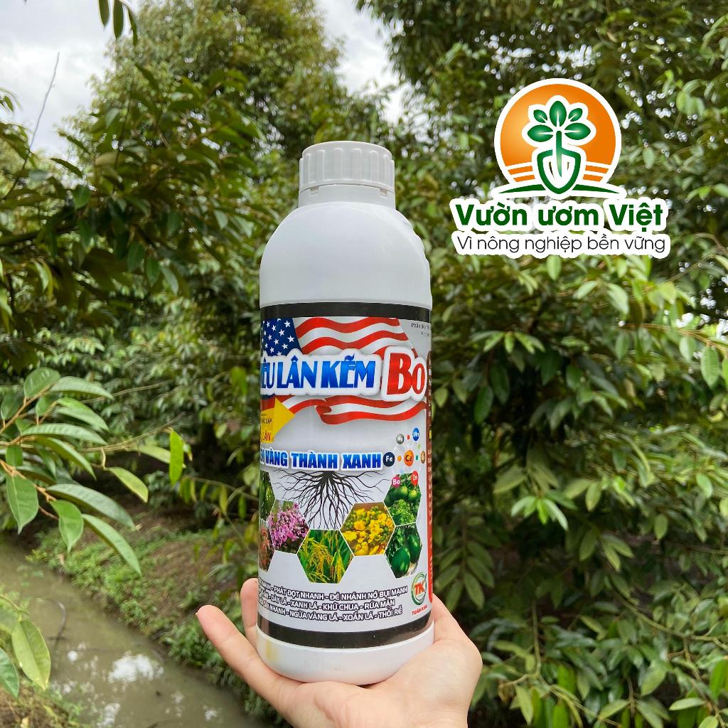 Siêu Lân Kẽm Bo - biến vàng thành xanh, đâm đọt, ra rễ cực mạnh, lá xanh dày tăng sức đề kháng