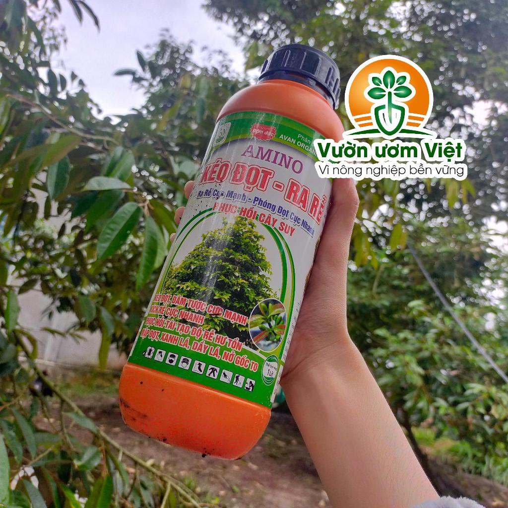 [Mua 3 tặng 1]Phân bón chuyên Amino Kéo Đọt Ra Rễ đa dưỡng chất, lớn nhanh, rễ nhiều, mập đọt - 1L