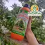 Phân bón chuyên Amino Kéo Đọt Ra Rễ đa dưỡng chất, lớn nhanh, rễ nhiều, mập đọt - 1L
