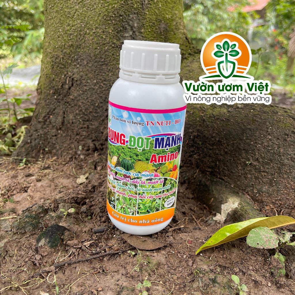 Amino Bung đọt mạnh - vi lượng chống vàng lá, kích rễ nhiều, lá bóng đẹp, dày khỏe - 500ml