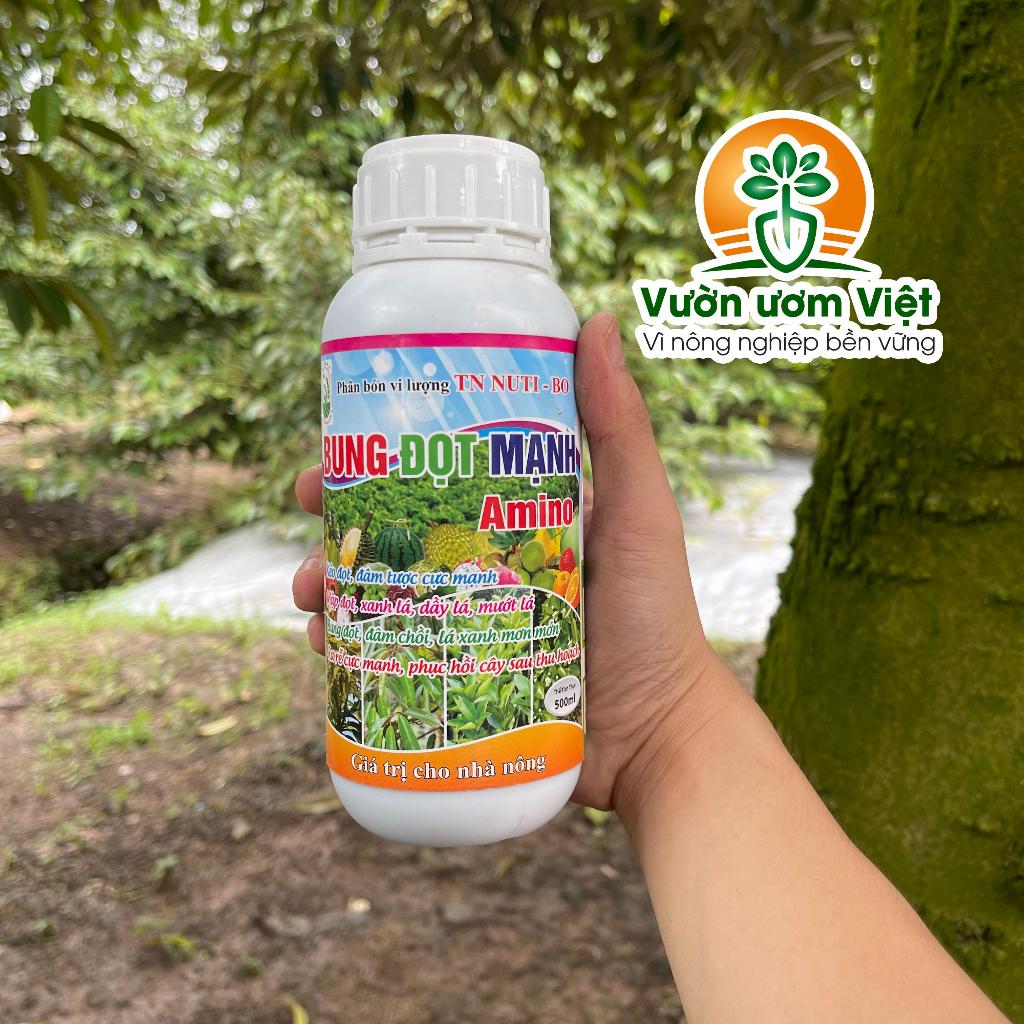 Amino Bung đọt mạnh - vi lượng chống vàng lá, kích rễ nhiều, lá bóng đẹp, dày khỏe - 500ml