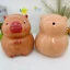 Heo đất lợn đất tiết kiệm Chuột Capybara size to lỗ tròn-ống tiêt kiệm trang tríLĐ2