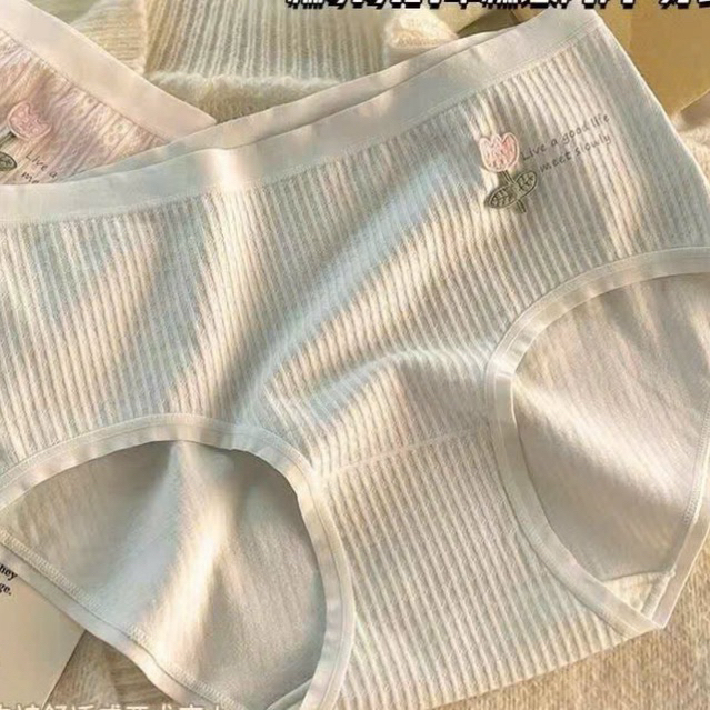 QUẦN LÓT COTTON DỆT KIM THÊU HOA 🌺 8331