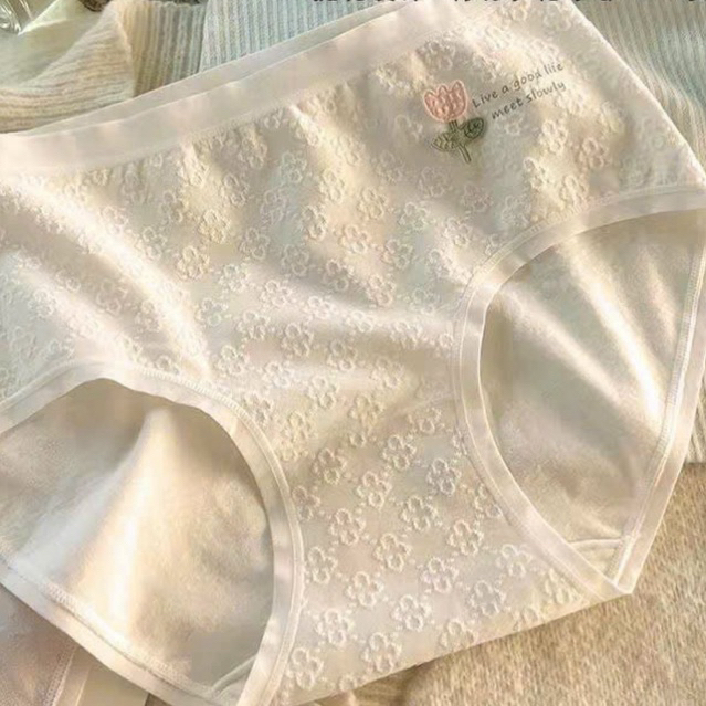 QUẦN LÓT COTTON DỆT KIM THÊU HOA 🌺 8331