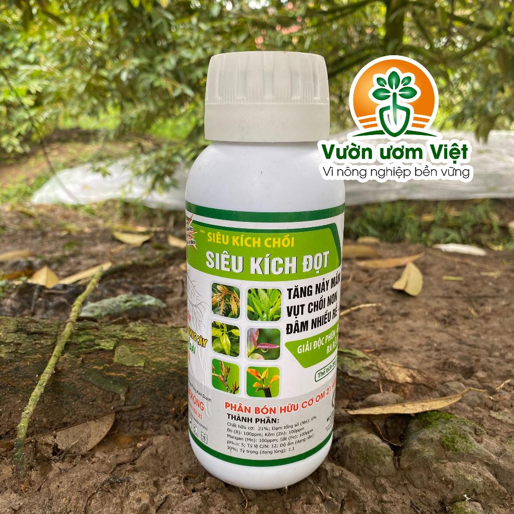SIÊU KÍCH ĐỌT - bung đọt cực nhanh, thúc lá to, xanh dày, dưỡng bộ lá hoàn thiện, phục hồi lá suy