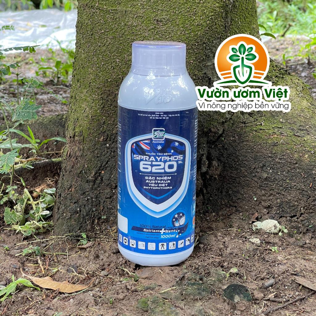 Thuốc trừ bệnh Sprayphos 620SL trị nứt gốc, nứt thân, xì mủ, thối trái, lở da, nấm bệnh cây trồng