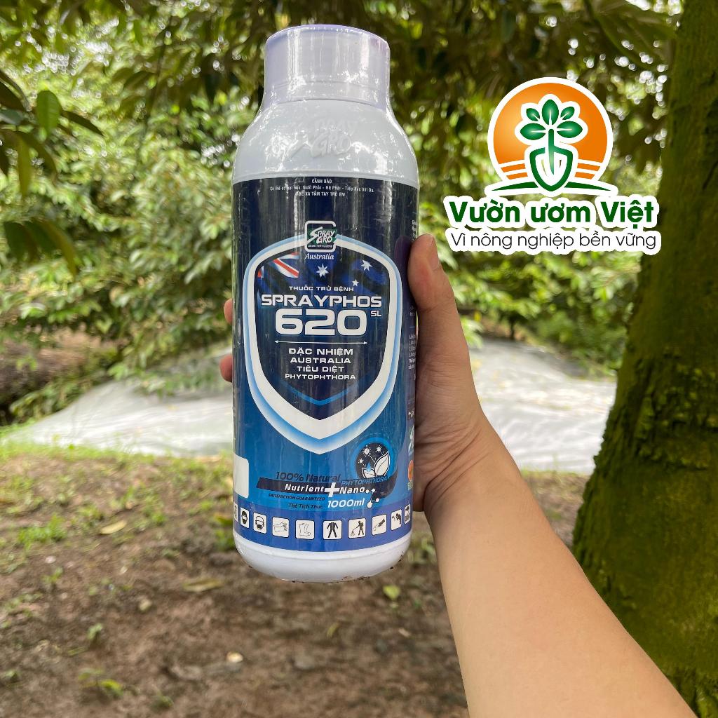 Thuốc trừ bệnh Sprayphos 620SL trị nứt gốc, nứt thân, xì mủ, thối trái, lở da, nấm bệnh cây trồng
