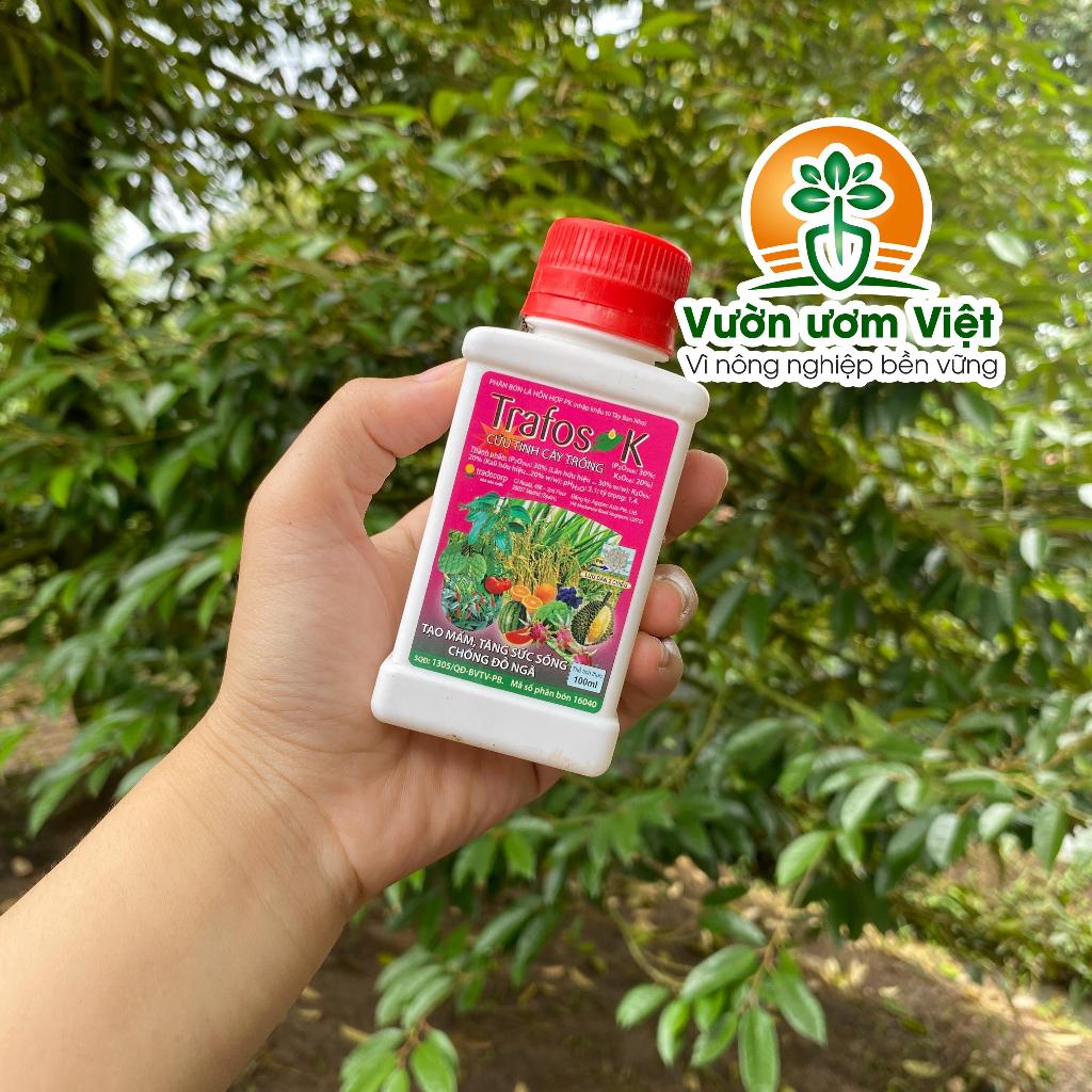 Phân bón Trafos K - tái tạo rễ, nuôi dưỡng hoa, lá xanh dày, chống vàng lá hiệu quả - 100ml