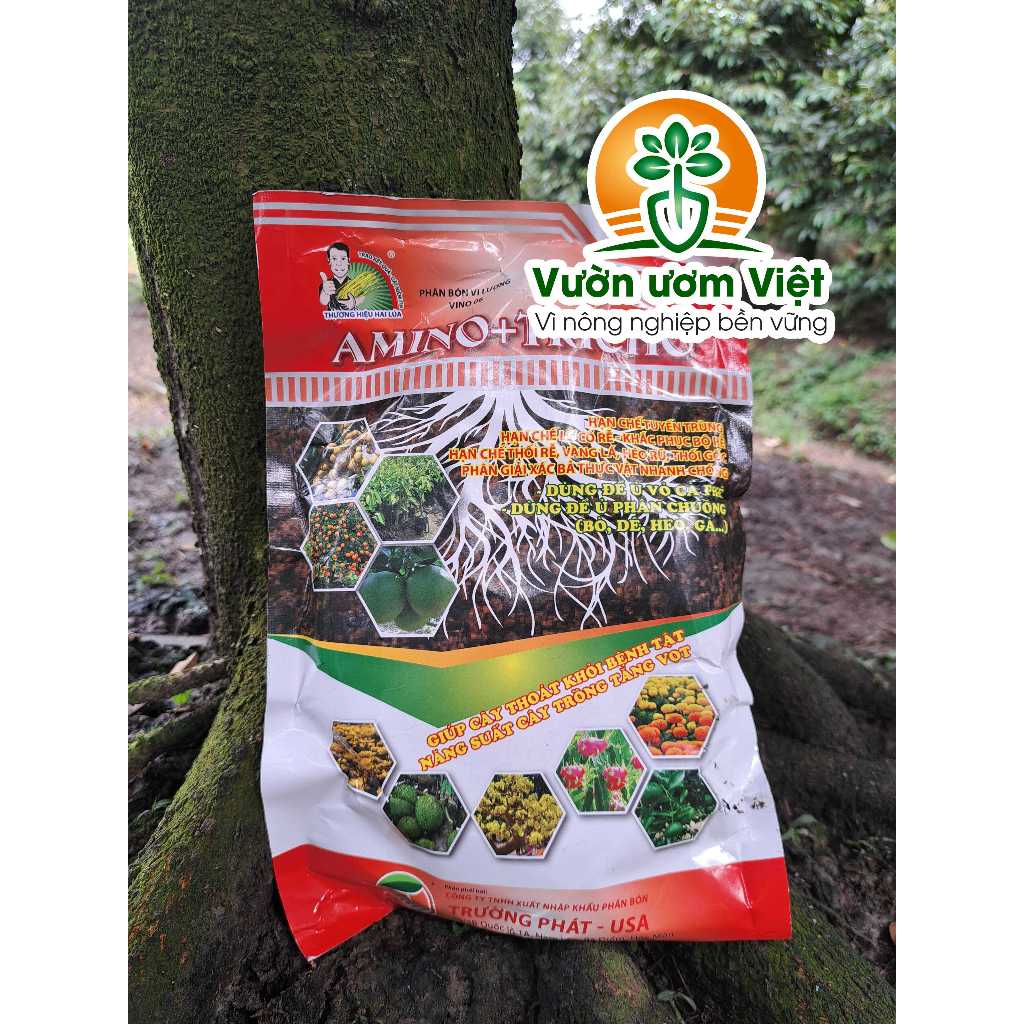 Phân bón Trichoderma bổ sung Amino Acid, tái tạo bộ rễ và đất, hồi sinh lợi khuẩn