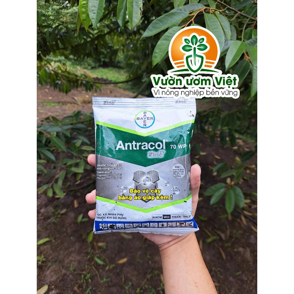 Thuốc trừ bệnh Antracol 70WP chính hãng Bayer bảo vệ cây trồng khỏi bệnh bằng áo giáp Kẽm - 100gr