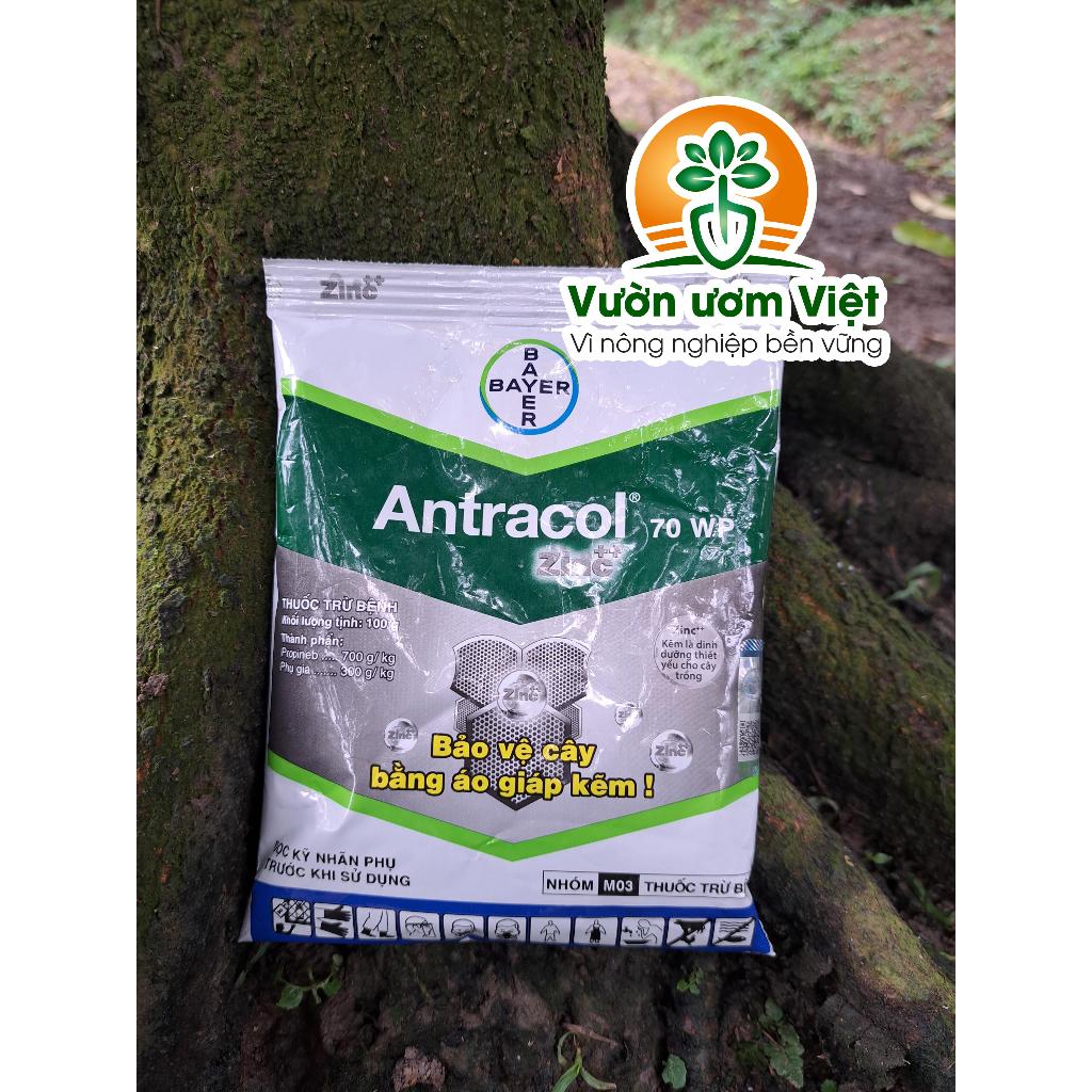 Thuốc trừ bệnh Antracol 70WP chính hãng Bayer bảo vệ cây trồng khỏi bệnh bằng áo giáp Kẽm - 100gr