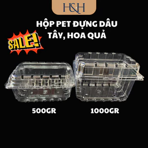 Hộp Nhựa Đựng Dâu Tây, Trái Cây, Rau Củ Quả, Thực Phẩm, Chất Liệu Pet Trong Suốt - Tổng Kho Hải Hạnh