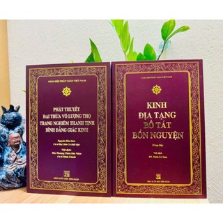 Sách - Combo Kinh Địa Tạng Bồ Tát Bổn Nguyện và Kinh Phật Thuyết Vô Lượng Thọ Bình Đẳng Giác Kinh