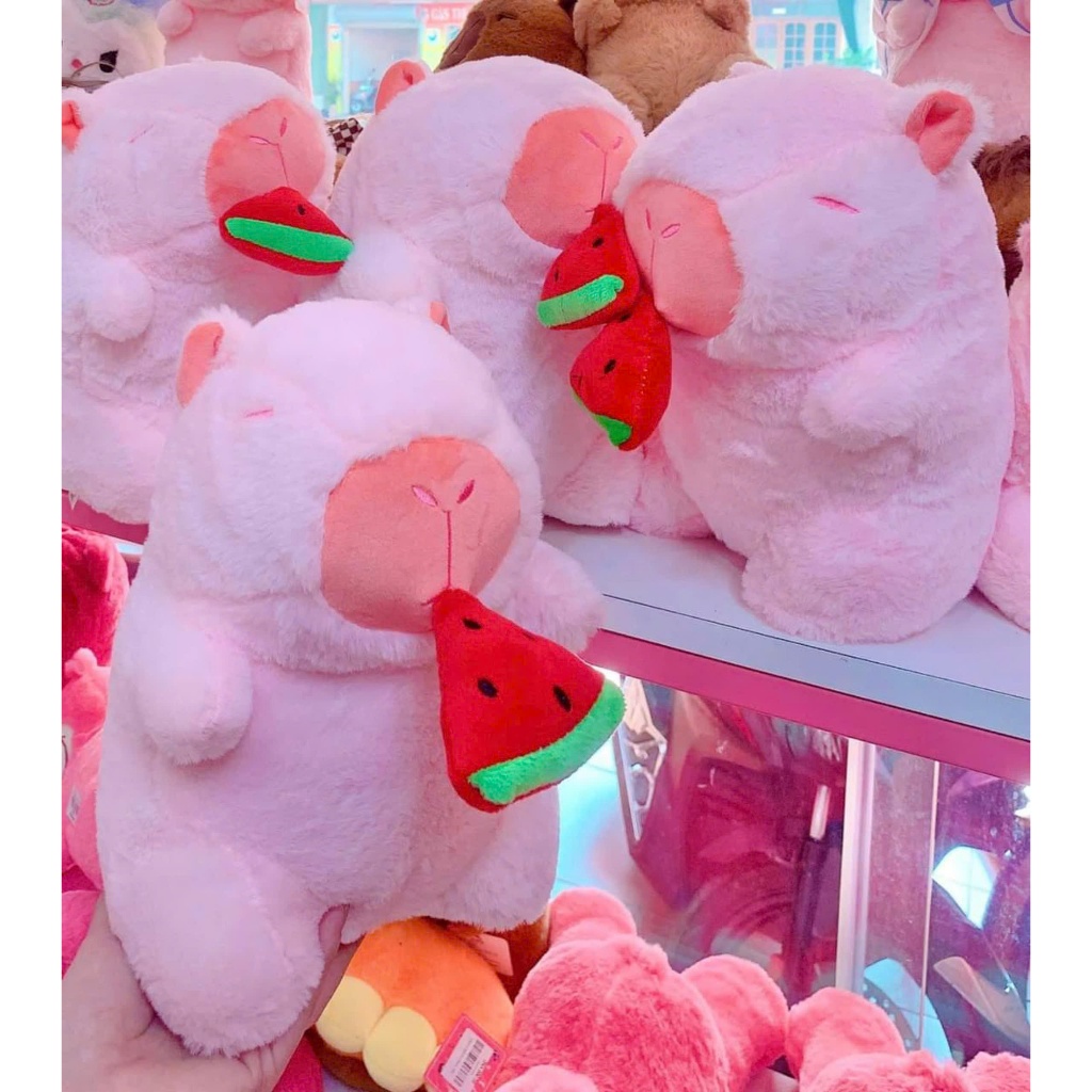 Capybara lulu Capybara Ăn Dưa Hấu [ Kéo Rút Chậm ] Hàng Nhậ Cao Cấp