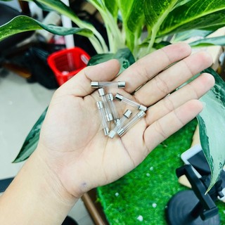 Cầu Chì 6x30mm - Dùng cho Máy Lọc Nước RO Nóng Lạnh Kangaroo, Karofi, Sunhouse,...