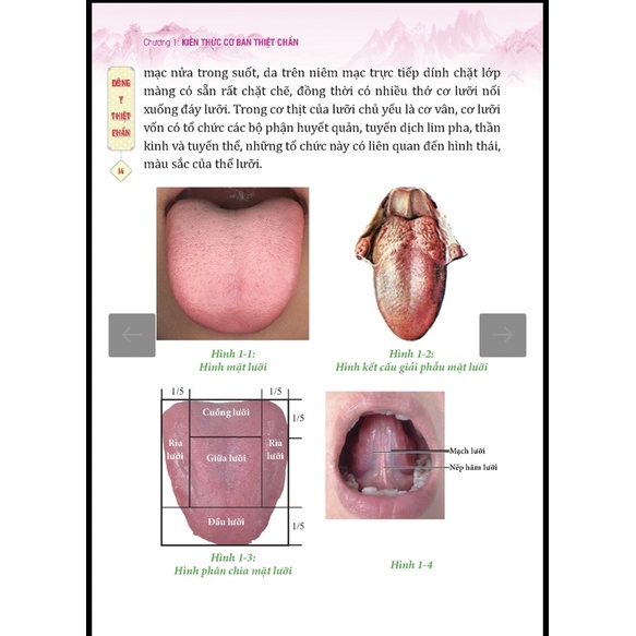 Sách - Đông Y Thiệt Chẩn (bìa mềm)