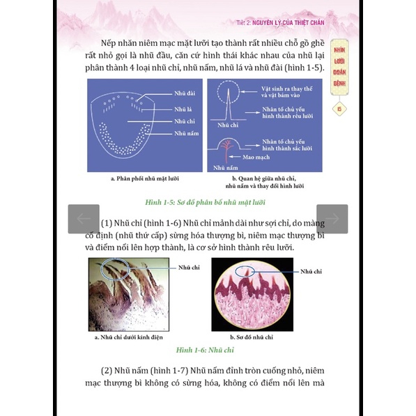 Sách - Đông Y Thiệt Chẩn (bìa mềm)