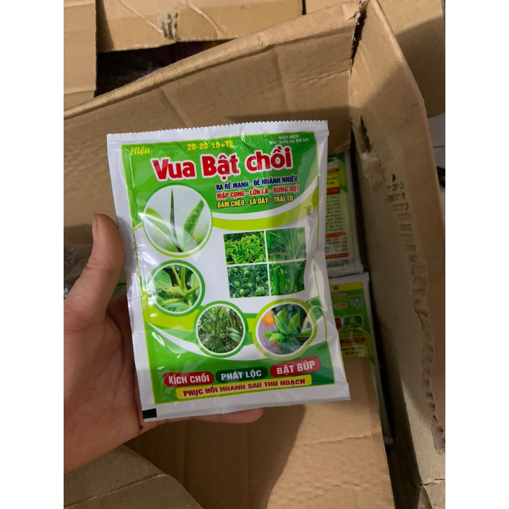 Vua bật chồi phân bón hỗn hợp ra rễ mạnh, đẻ nhánh nhiều, mập cọng, lớn ...