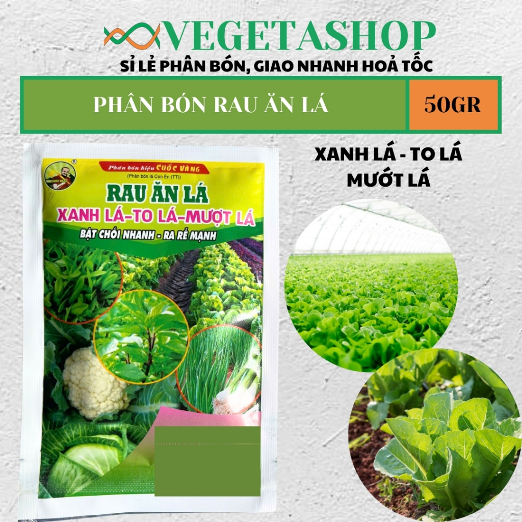 PHÂN BÓN RAU ĂN LÁ 50gr - 500gr - XANH LÁ - DÀY LÁ - TO LÁ - MƯỚT LÁ ...