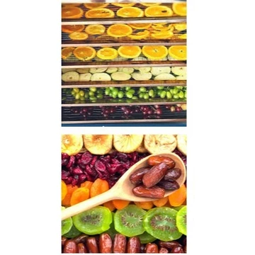 Tủ sấy bột nghệ, thuốc đông y, dược liệu, macca... 20 khay 50x50cm hàng VN