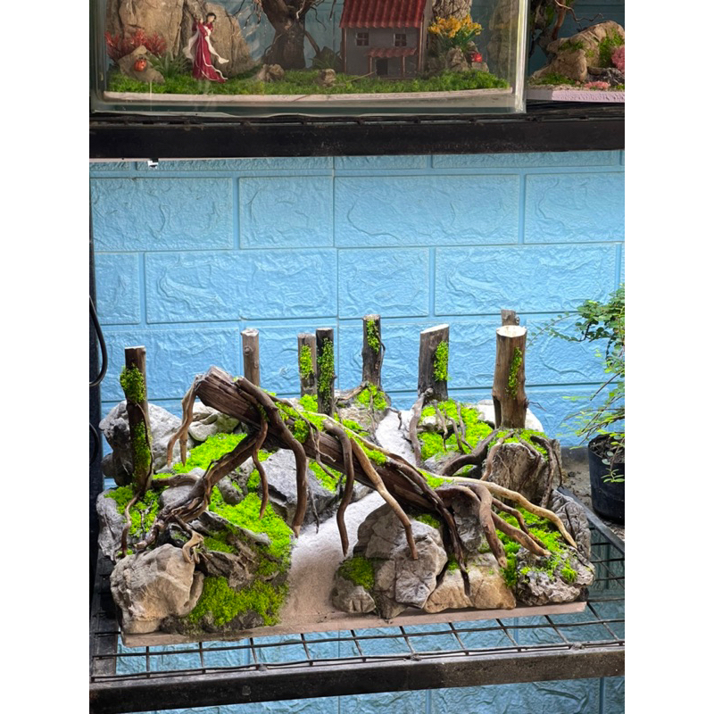 layout rừng lũa 32000 | Shopee Việt Nam