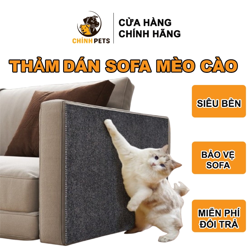 Miếng dán cho mèo cào bảo vệ sofa bảo vệ đồ đạc chống mèo cào móng ...