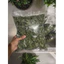 Rau ngót sấy khô (100g)