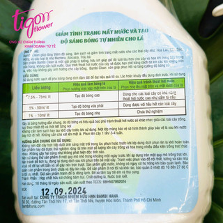 Combo 3 chai nước xịt bóng lá Bambi 500ml - giúp giảm tình trạng mất nước và tạo độ sáng bóng tự nhiên cho lá