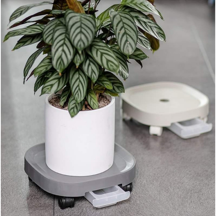 Đế Kê Chậu Cây, 33cm Đế Lót Chậu ,Cây Cảnh Có Khay Hứng Nước Bánh Xe Tiện Lợi - Gia Dụng GH86