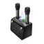 Loa Bluetooth hát karaoke kèm 2 mic BS41 Plus hoco âm thanh sống động .