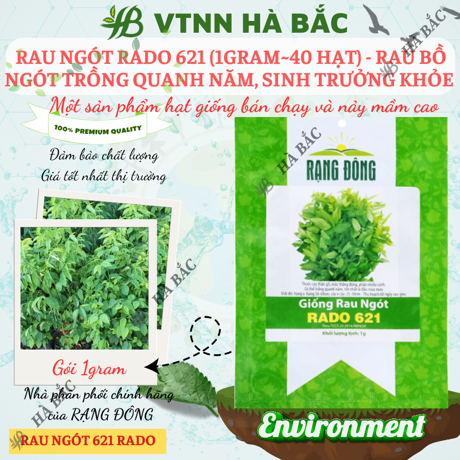 Hạt giống Rau Ngót Rado 621 (1g~40 hạt) Rau Bồ Ngót trồng quanh năm, sinh trưởng khỏe - Nông Nghiệp Hà Bắc