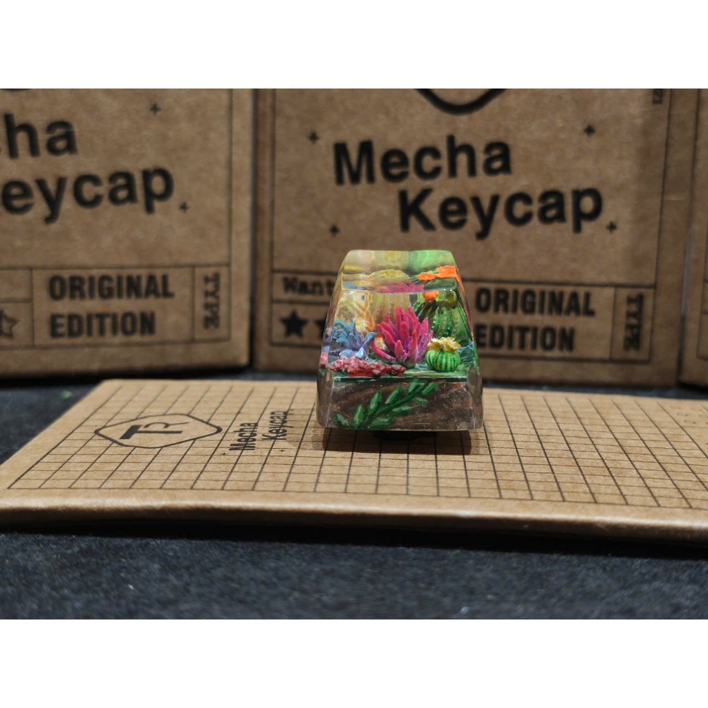 keycap artisan tiểu cảnh Terrarium | Shopee Việt Nam