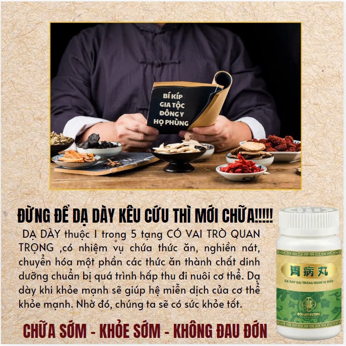 [Dạ dày đại tràng] Viên trung dược Hoàn Vị Bảo giúp chống trào ngực dạ dày, ngừa vi.êmmm loéttt, vi.êmmm hang vị hũ 600v