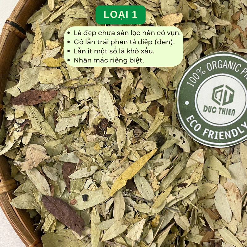 100g, 250g, 500g Phan Tả Diệp Loại 1 Đức Thiện (Khô, Sạch, Thơm) - Tốt Cho Tiêu Hóa