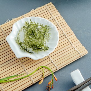 Đĩa sứ Long Phương đựng gia vị hình vỏ sò 9 cm  cao cấp