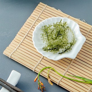 Đĩa sứ Long Phương đựng gia vị hình vỏ sò 9 cm  cao cấp