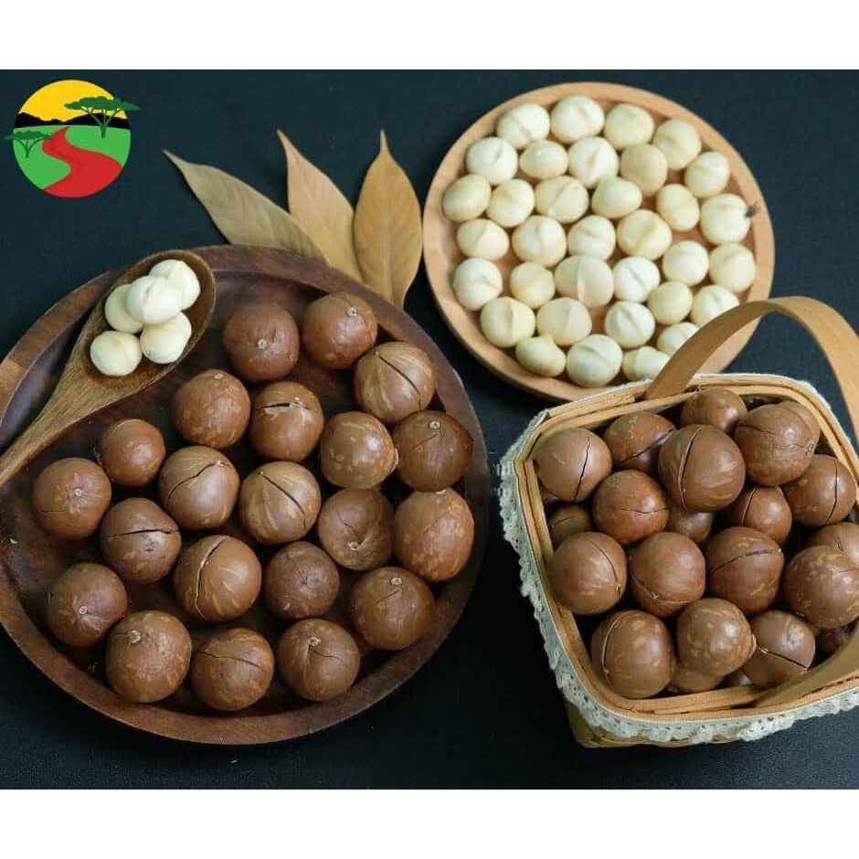Hạt macca nứt vỏ hữu cơ organic vùng Tây Nguyên 1kg | Shopee Việt Nam