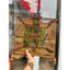 khung tự ráp vuông tùng hạt shop dola lồng chim huế