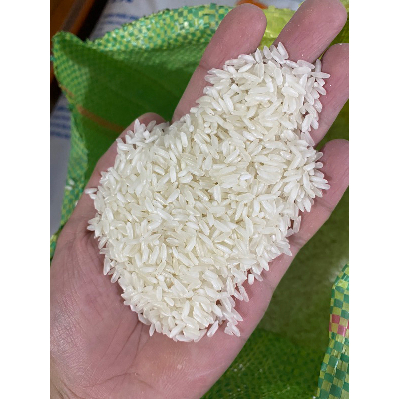 [2kg]Gạo 504 nở ( loại mới ) | Shopee Việt Nam