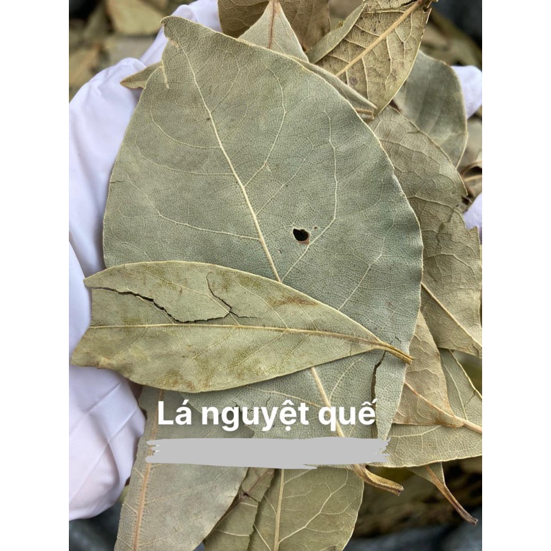 Lá Nguyệt Quế ( Lá Thơm ) Tăng Gia Vị Cho Các Món Ăn