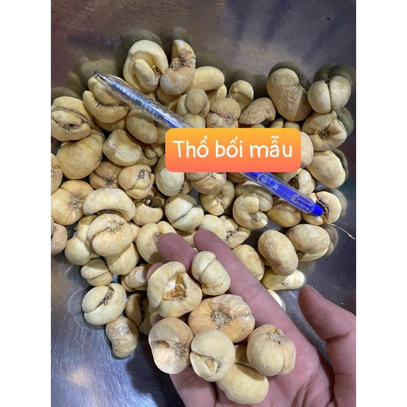 Thổ Bối Mẫu ( Sạch, Đẹp ) Hàng Loại 1
