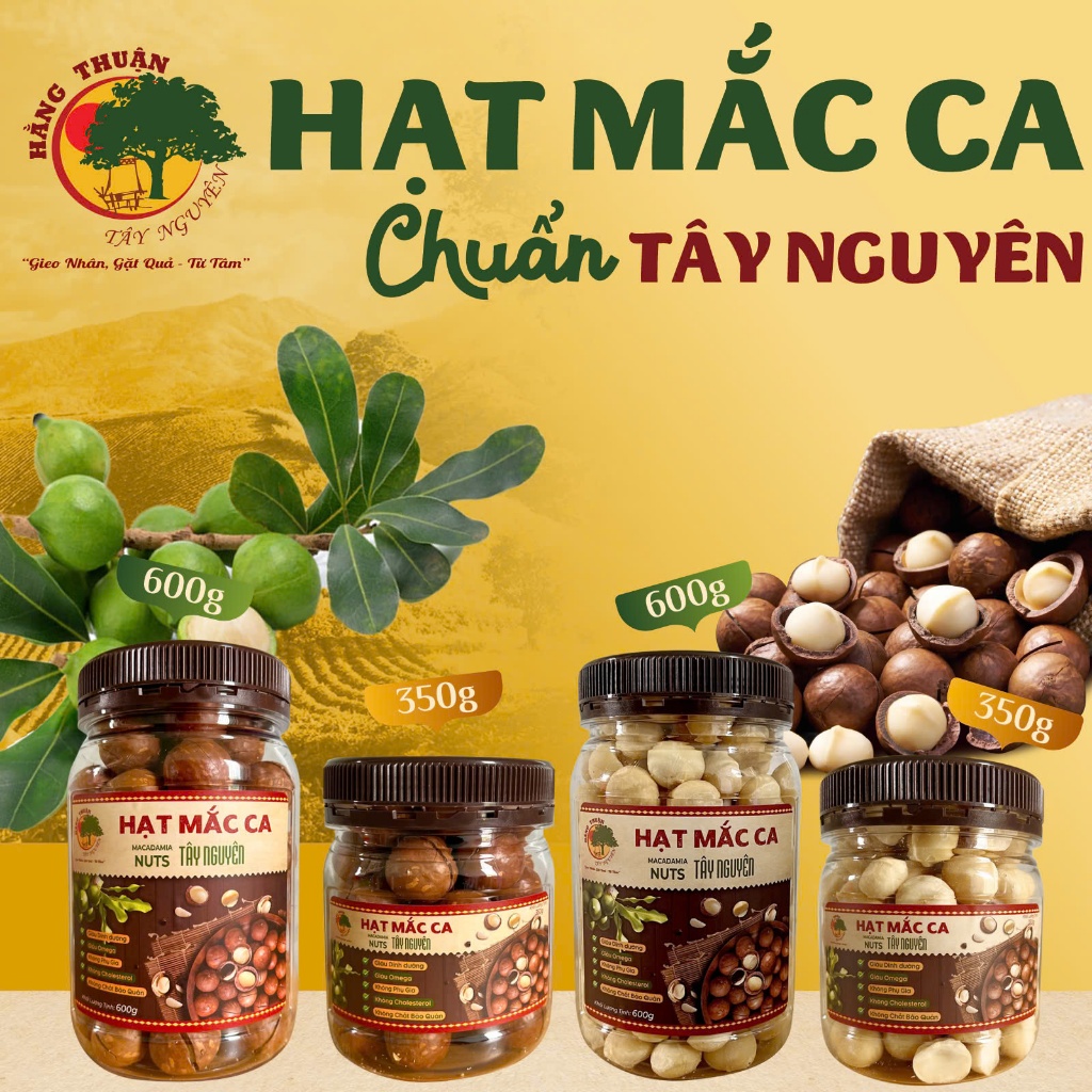 Hạt Mắc Ca Tây Nguyên [nguyên vỏ và tách vỏ]