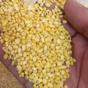 5kg Đậu xanh cà sạch vỏ /Đỗ Xanh Mộc hàng chuẩn đẹp _ Đậu xanh giá sỉ _ đậu xanh cà giá sỉ nongsangiasi.Tinphat
