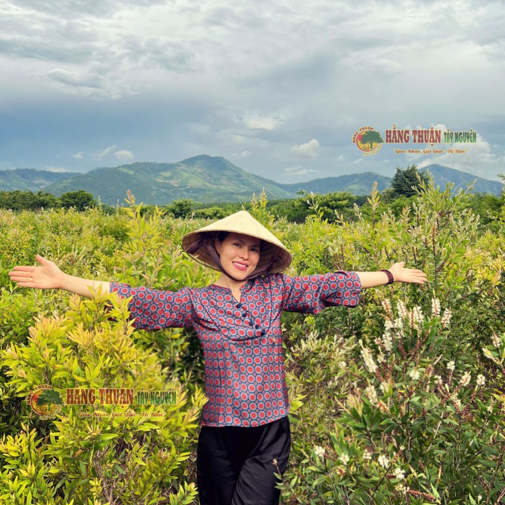 Tinh Dầu Tràm Gió Nguyên Chất Hằng Thuận Tây Nguyên