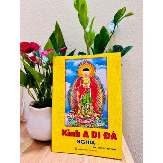 Sách - Kinh A Di Đà nghĩa ( bìa mềm)